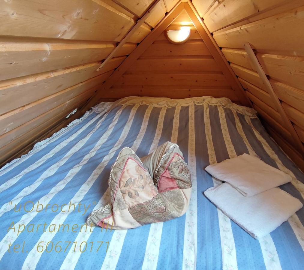 U Obrochty Apartment Закопане Екстериор снимка