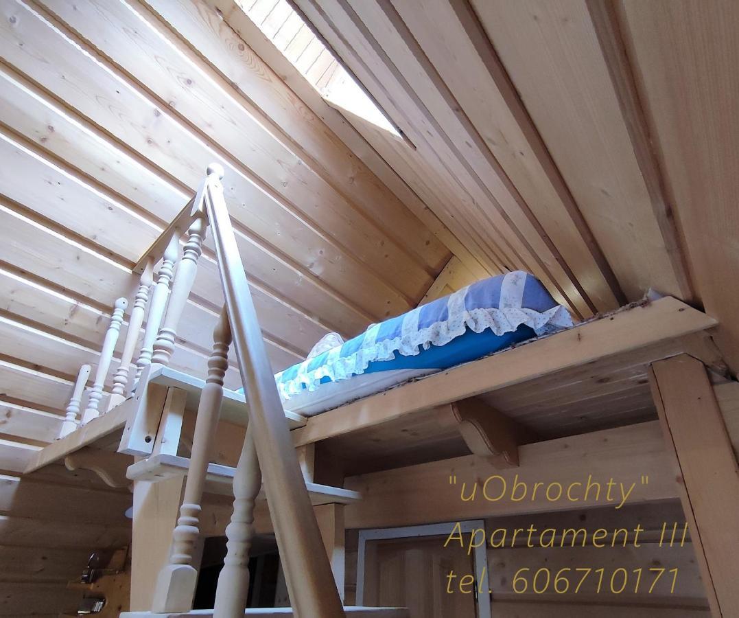 U Obrochty Apartment Закопане Екстериор снимка