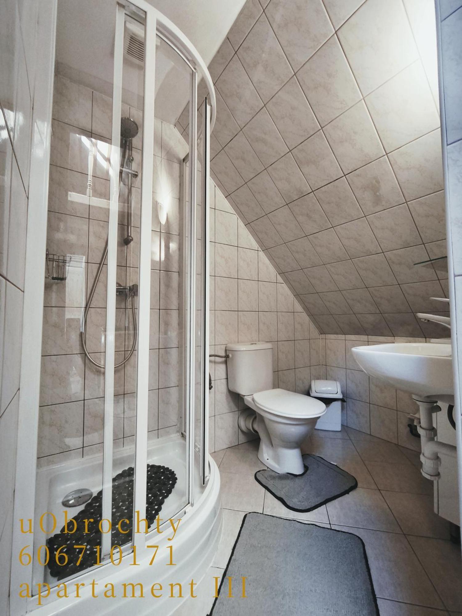 U Obrochty Apartment Закопане Екстериор снимка